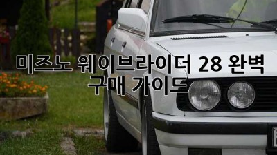 미즈노 웨이브라이더 28: 완벽 구매 가이드